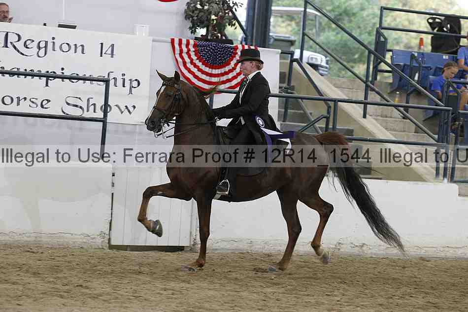 Proof Number 12r14_1544
