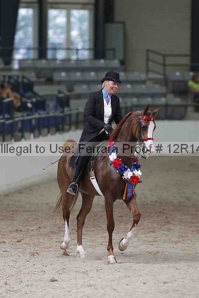 Proof Number 12r14_1545