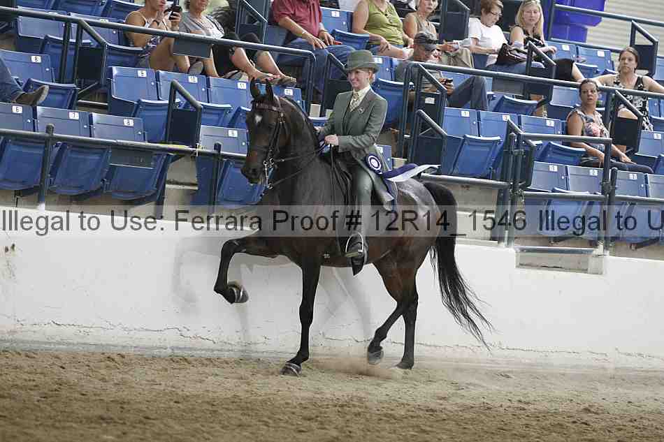 Proof Number 12r14_1546