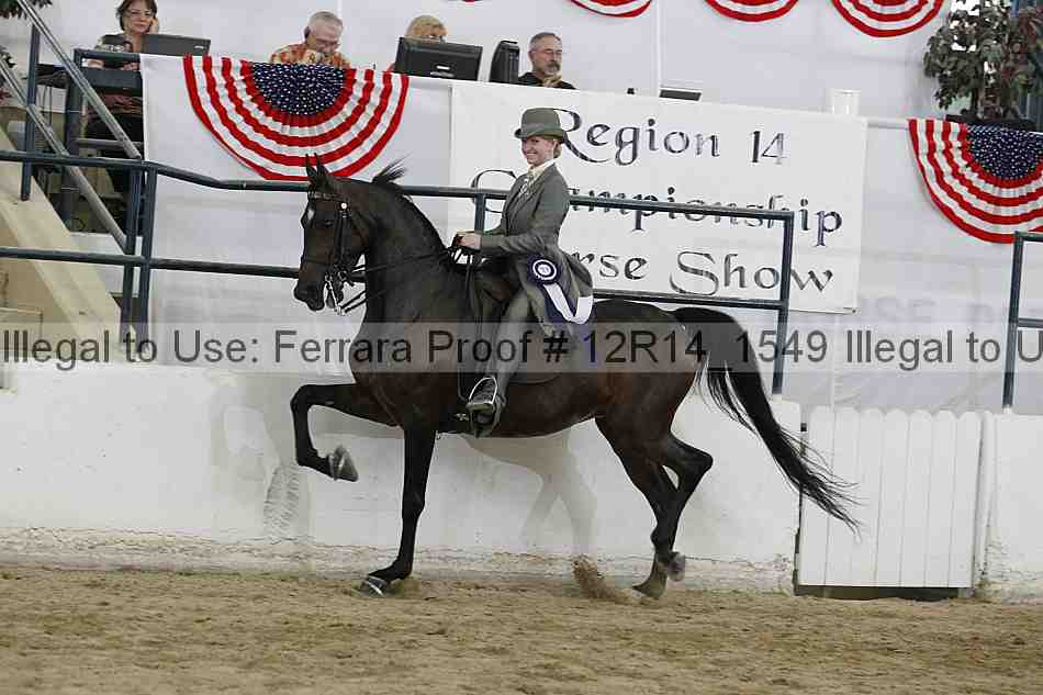 Proof Number 12r14_1549