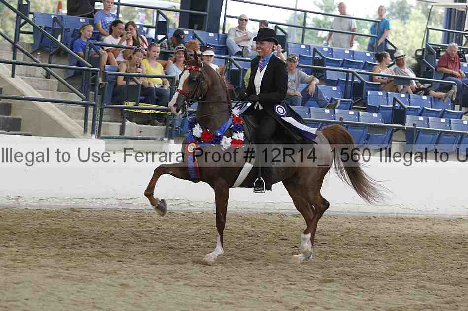 Proof Number 12r14_1560