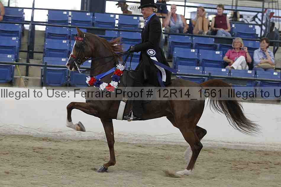 Proof Number 12r14_1561