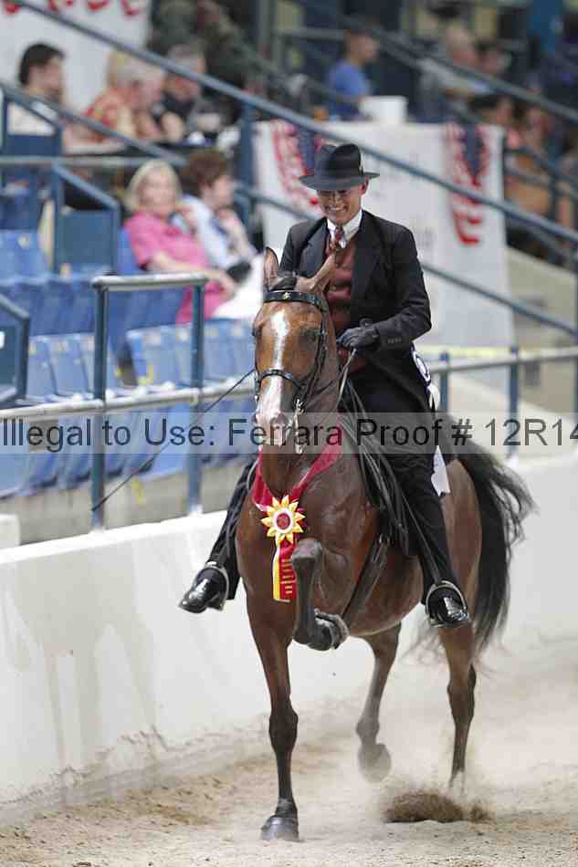 Proof Number 12r14_1564