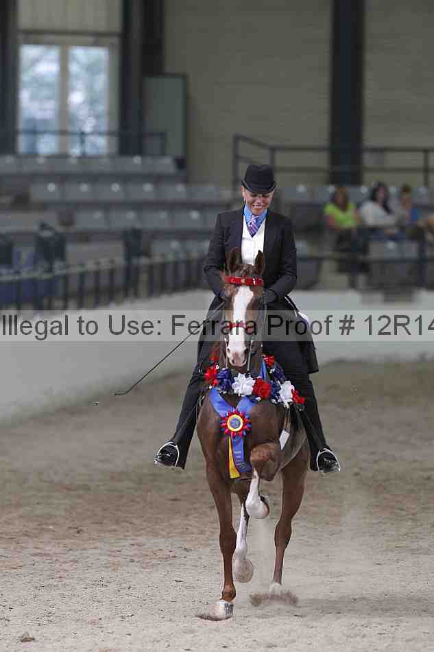 Proof Number 12r14_1565