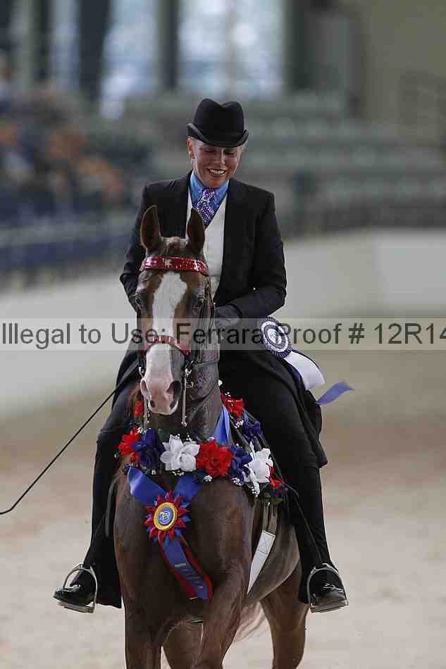 Proof Number 12r14_1567