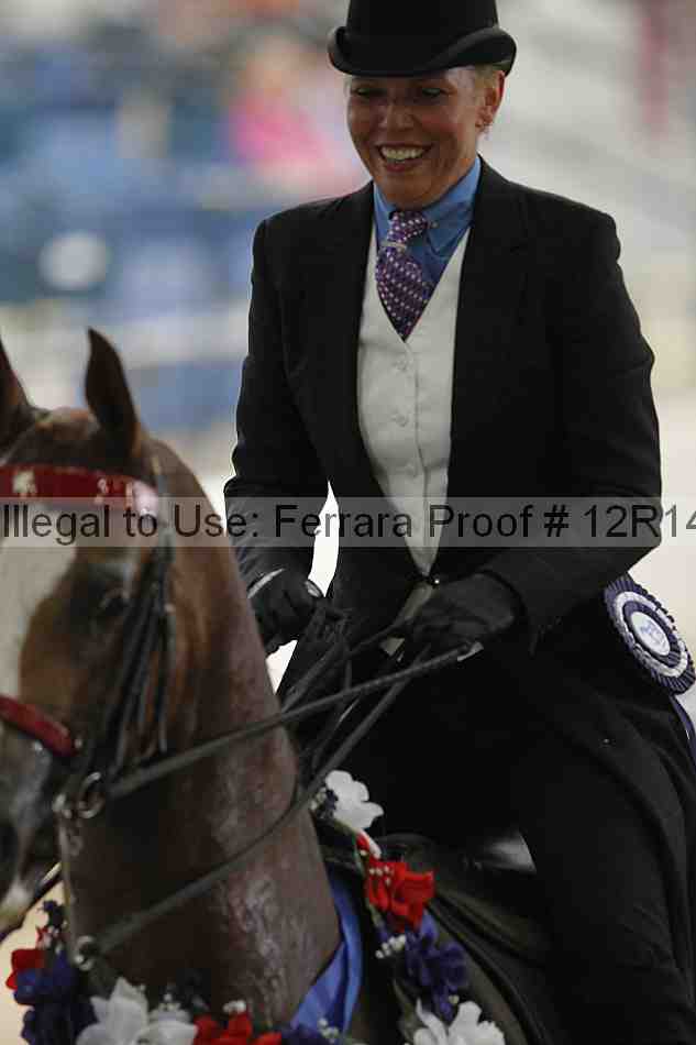 Proof Number 12r14_1568