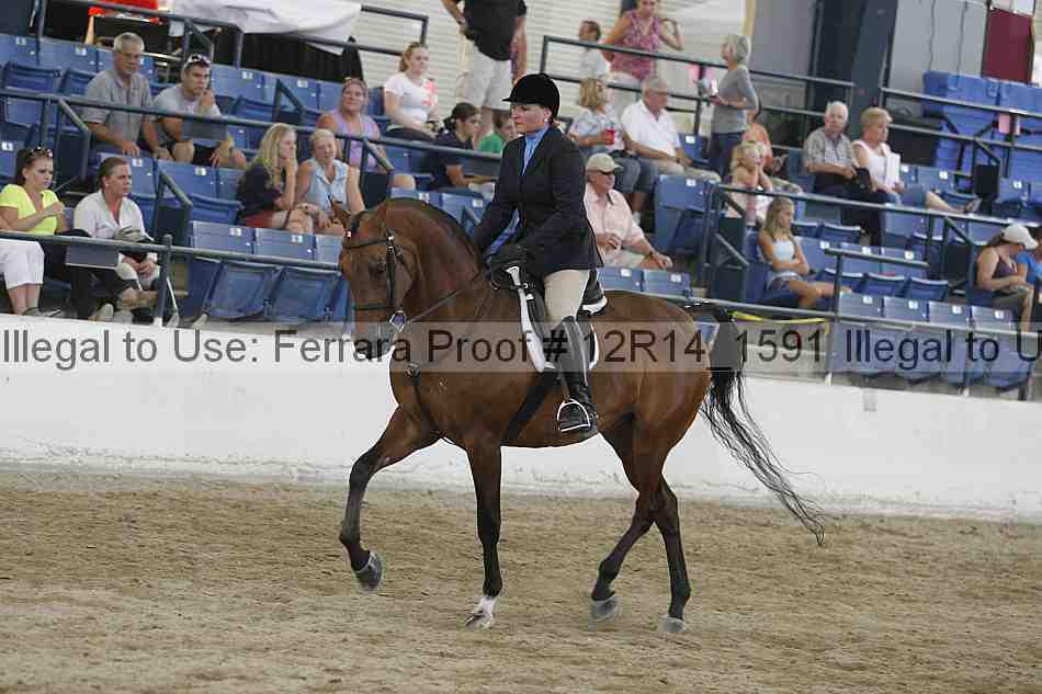 Proof Number 12r14_1591