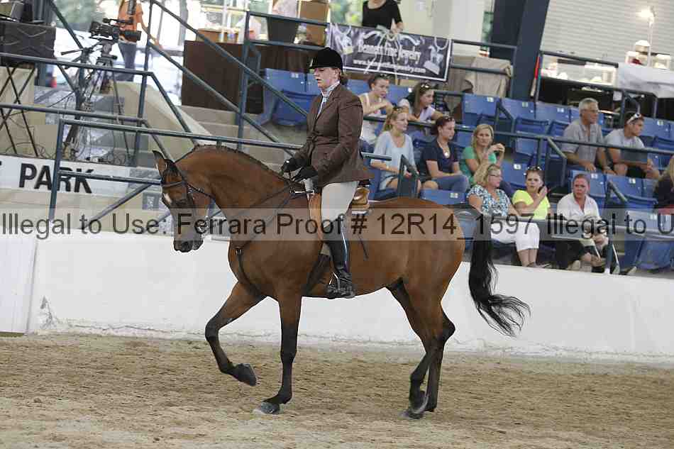 Proof Number 12r14_1597