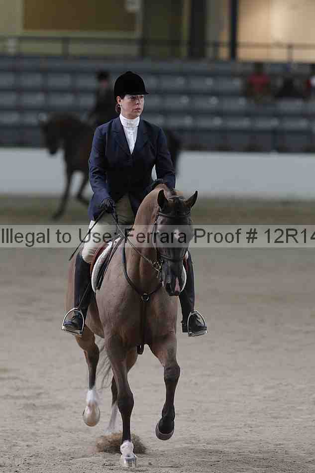 Proof Number 12r14_1598