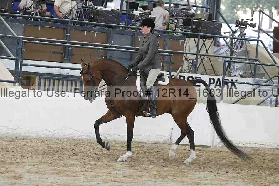 Proof Number 12r14_1603