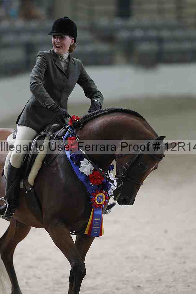 Proof Number 12r14_1629