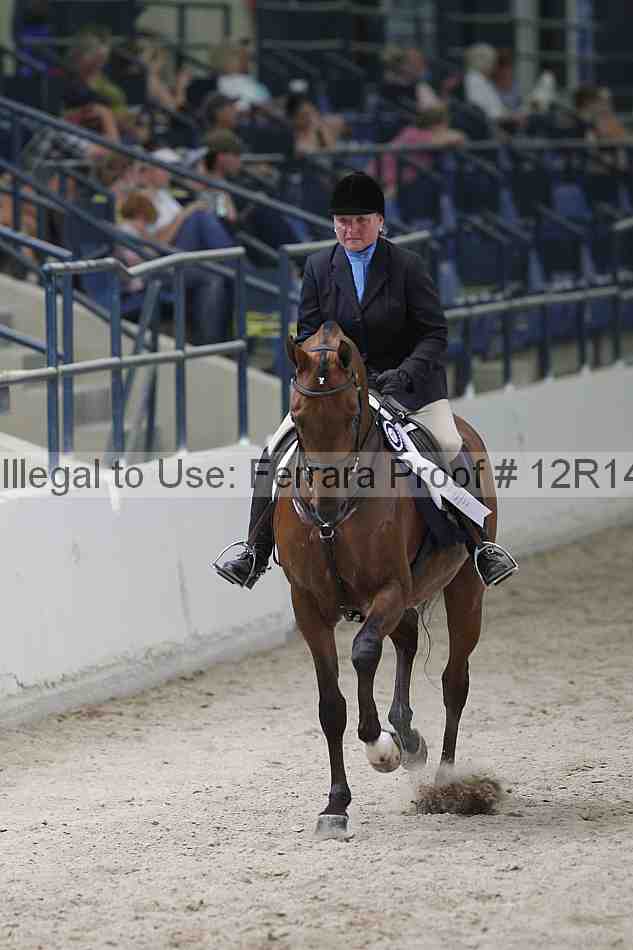 Proof Number 12r14_1633