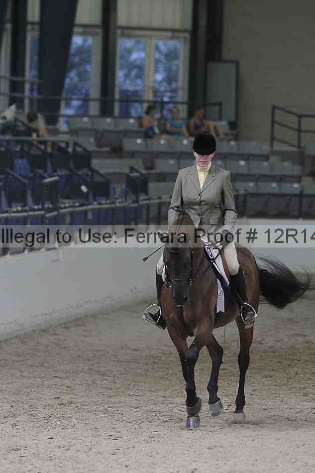 Proof Number 12r14_1642
