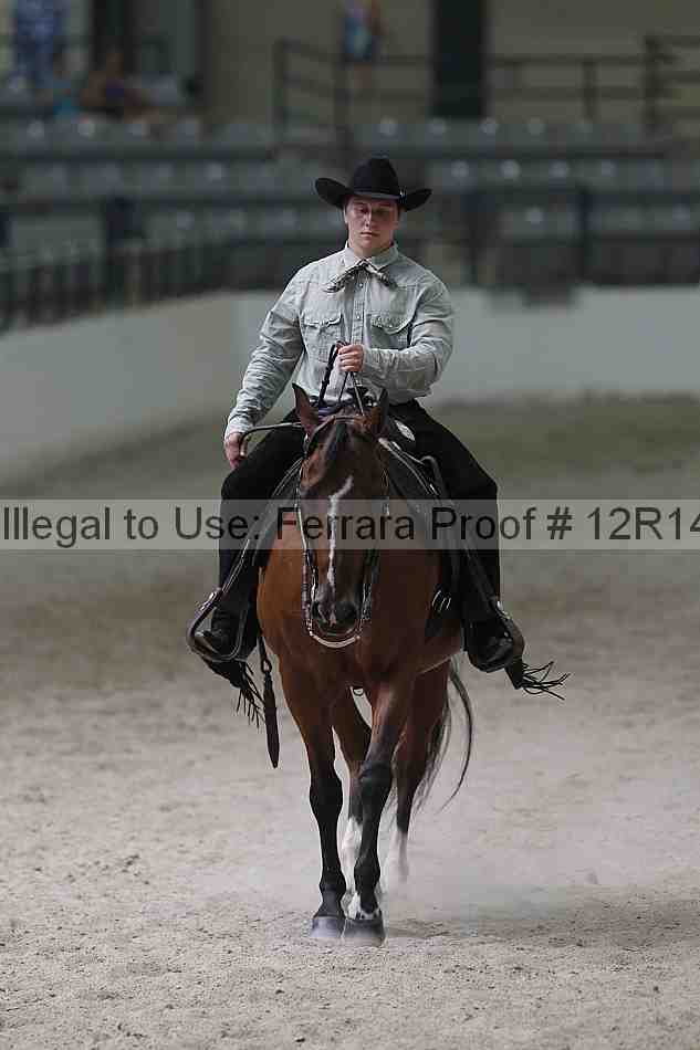 Proof Number 12r14_1670