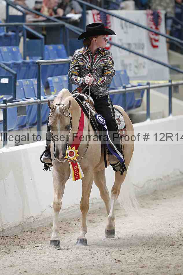 Proof Number 12r14_1673