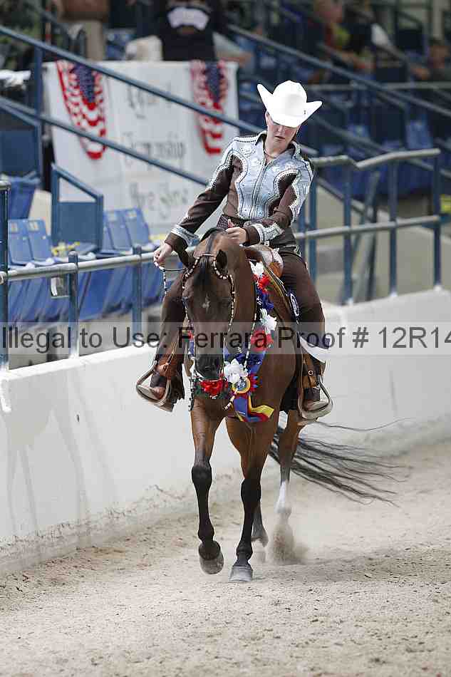 Proof Number 12r14_1677