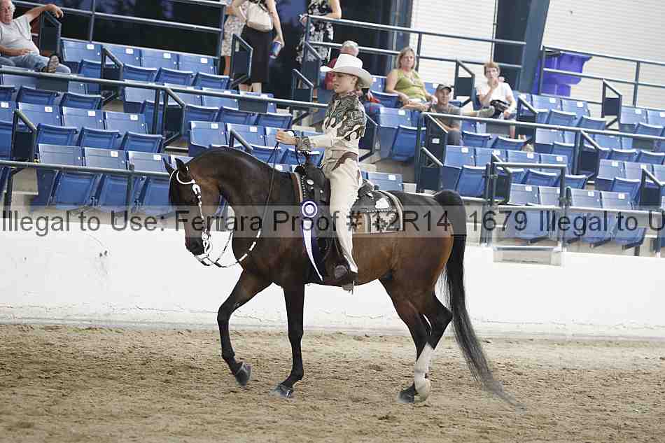 Proof Number 12r14_1679