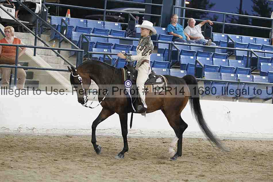 Proof Number 12r14_1680