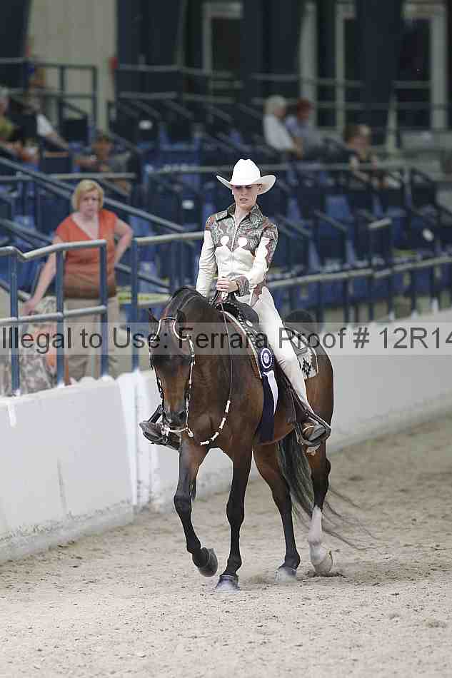 Proof Number 12r14_1683