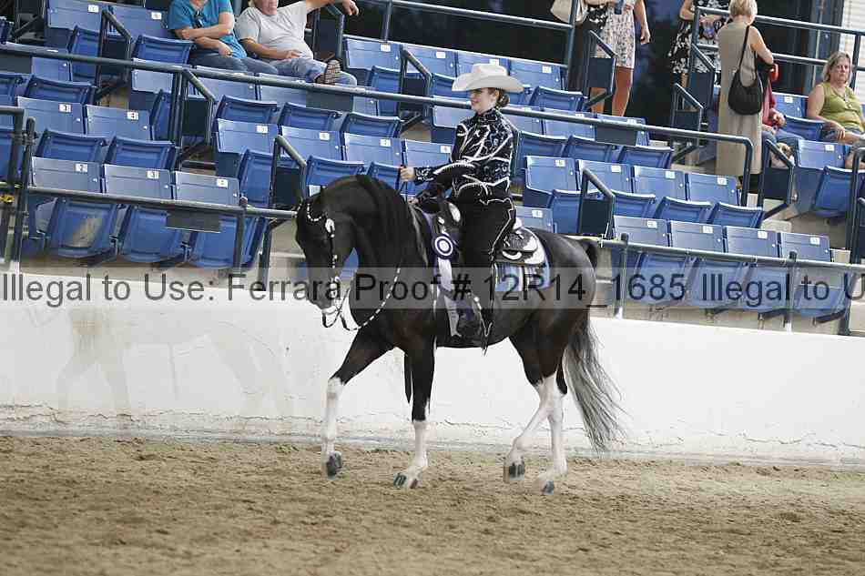 Proof Number 12r14_1685