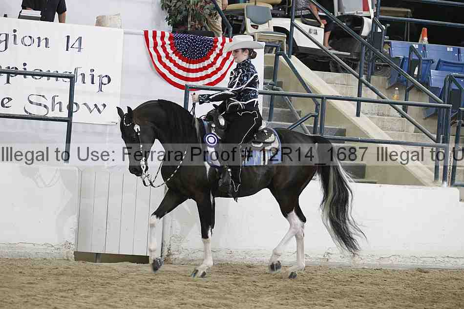 Proof Number 12r14_1687