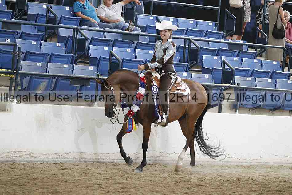 Proof Number 12r14_1697