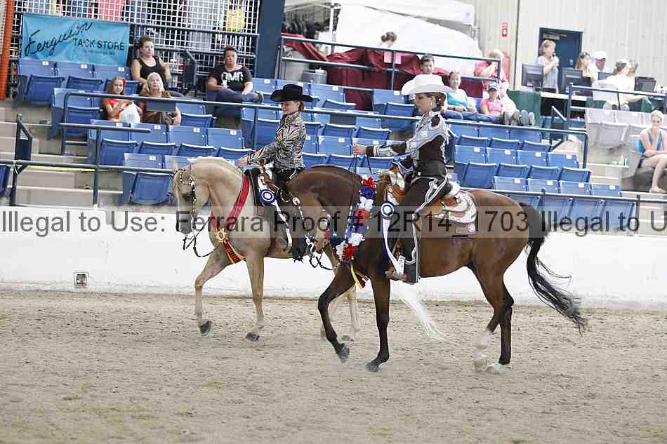 Proof Number 12r14_1703