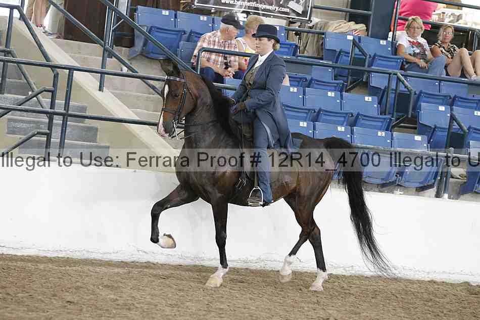 Proof Number 12r14_4700