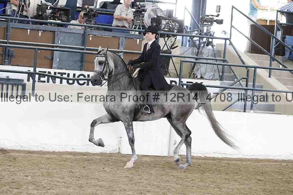 Proof Number 12r14_4708