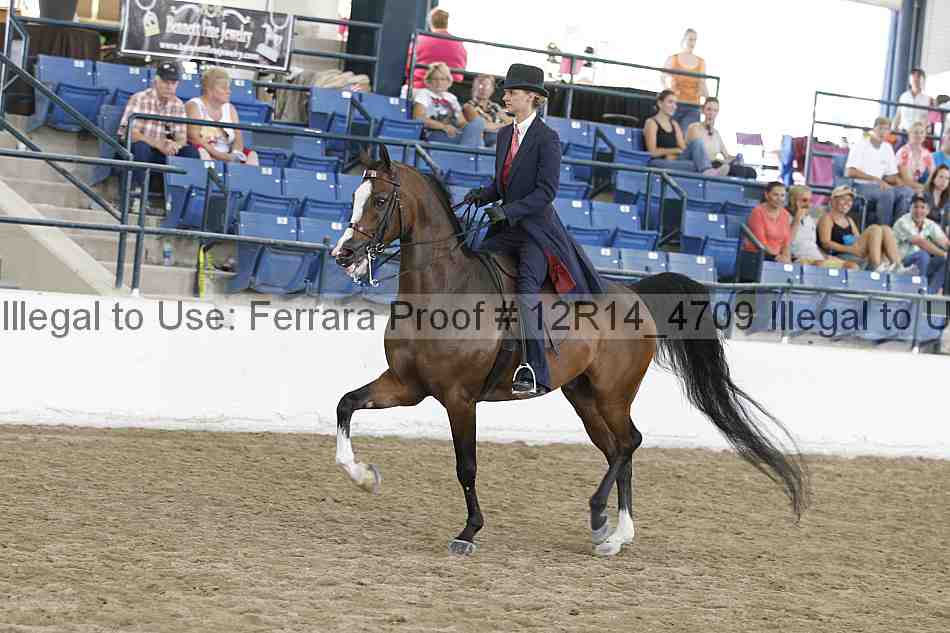 Proof Number 12r14_4709