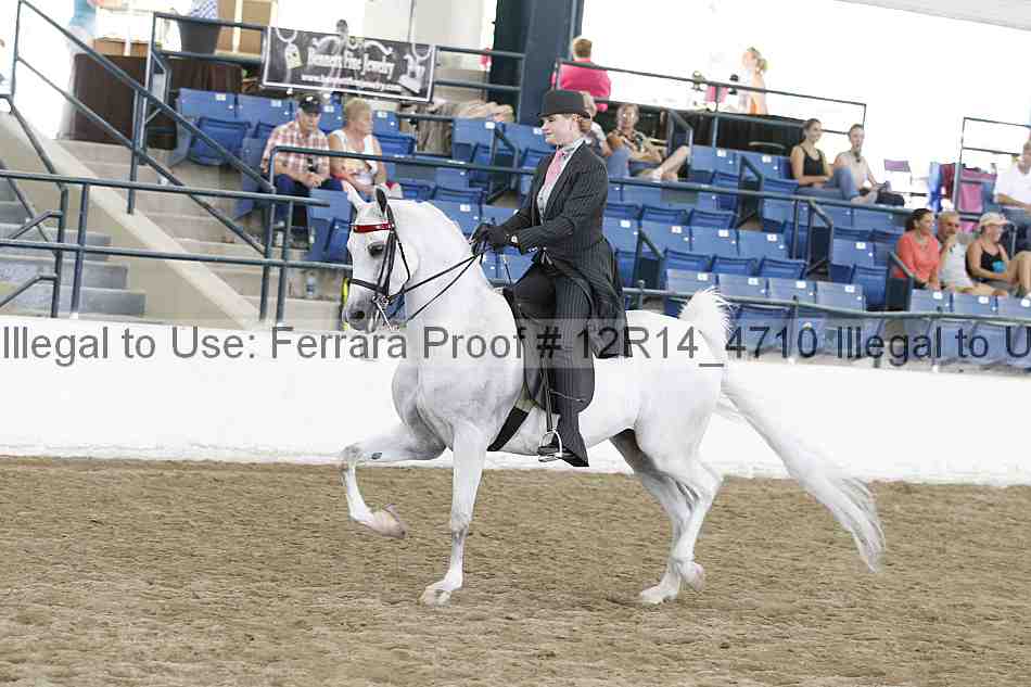 Proof Number 12r14_4710