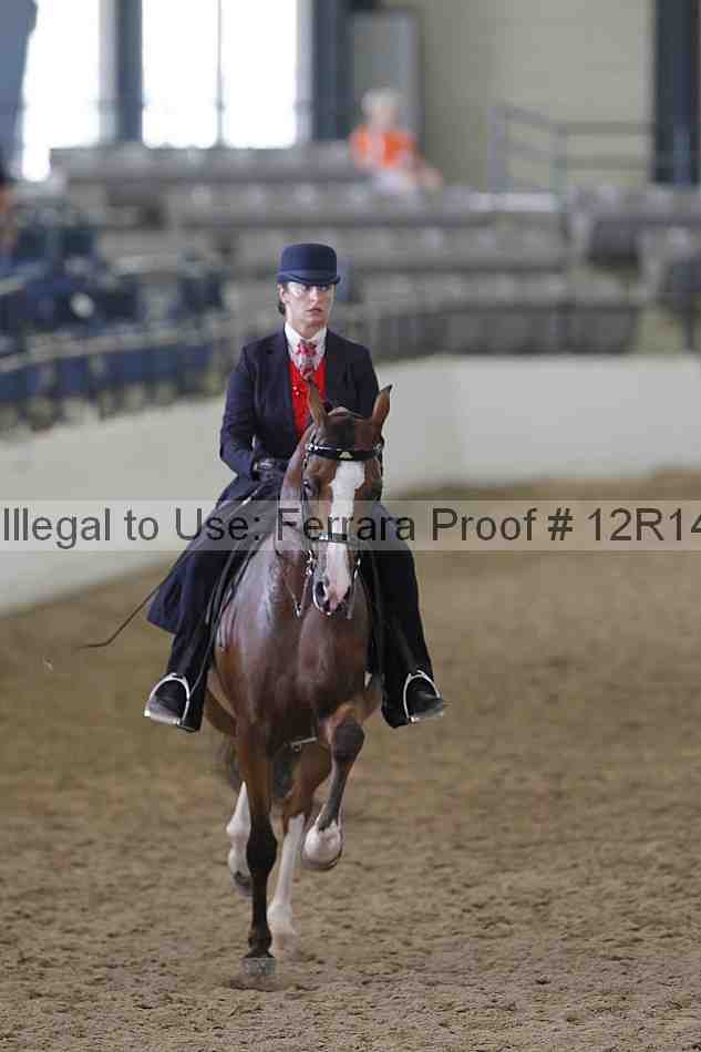 Proof Number 12r14_4712