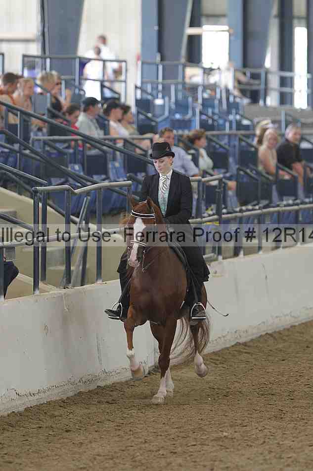 Proof Number 12r14_4723