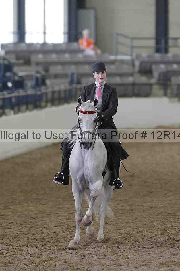 Proof Number 12r14_4726