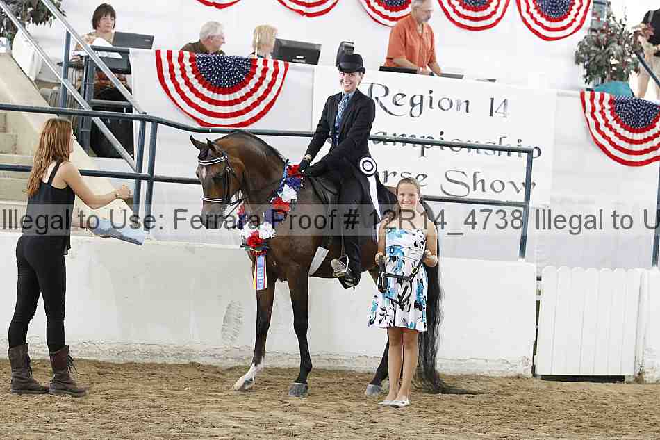Proof Number 12r14_4738