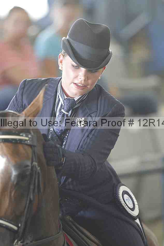 Proof Number 12r14_4740