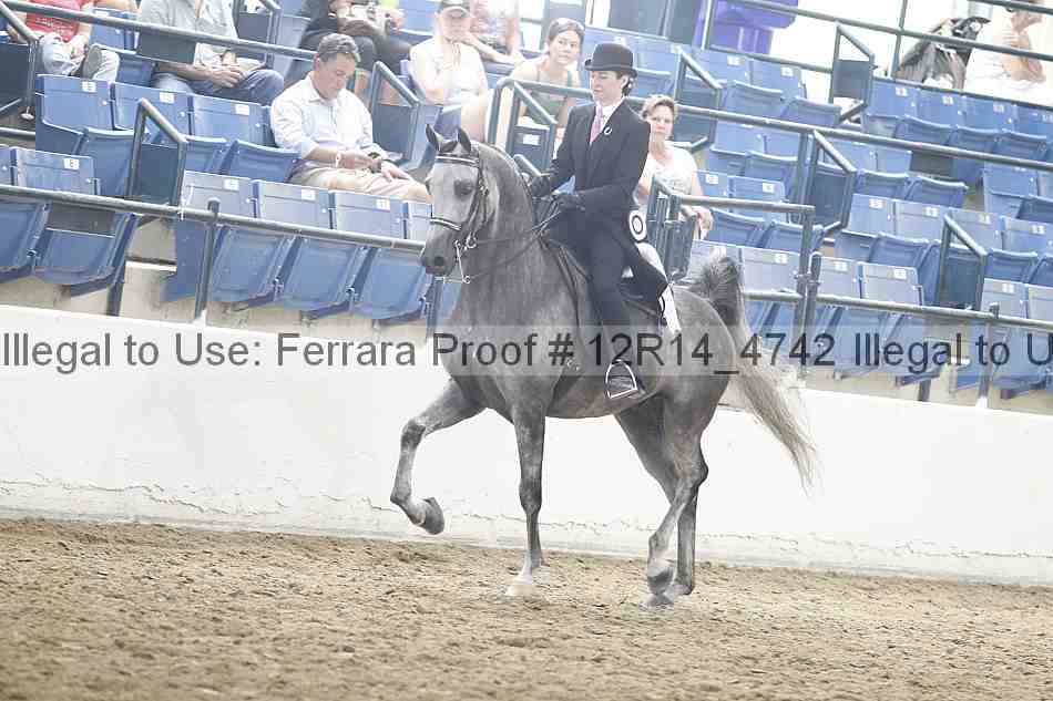 Proof Number 12r14_4742