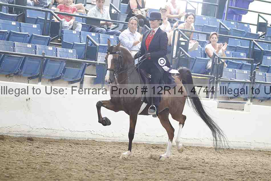 Proof Number 12r14_4744
