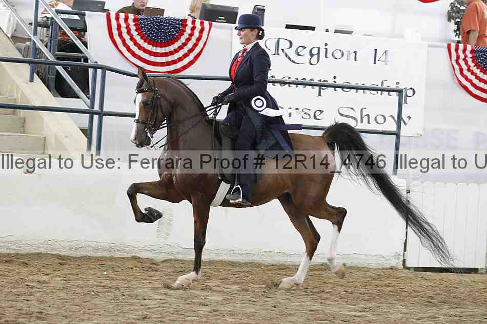 Proof Number 12r14_4746