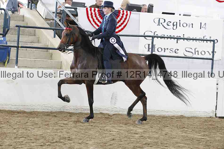 Proof Number 12r14_4748