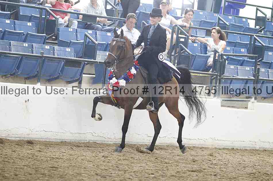 Proof Number 12r14_4755