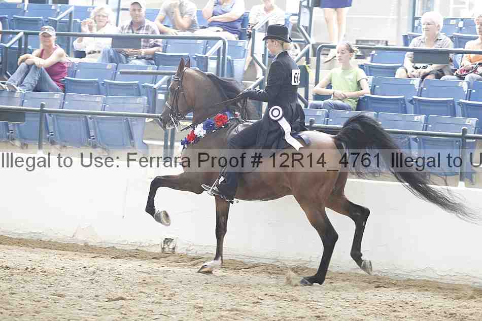 Proof Number 12r14_4761