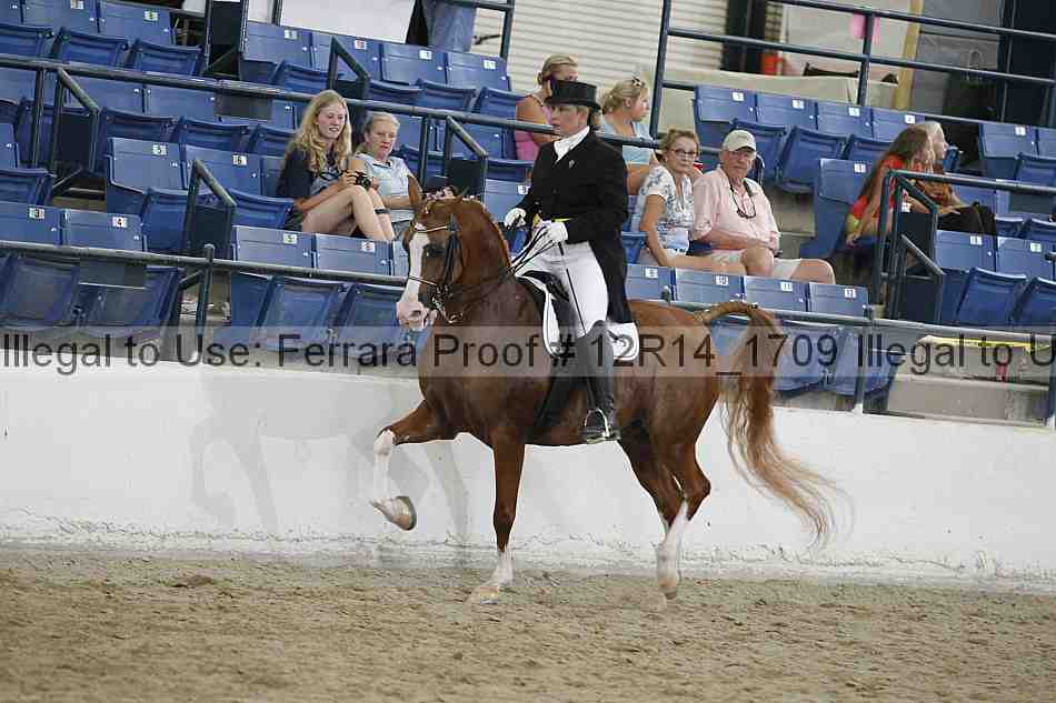 Proof Number 12r14_1709