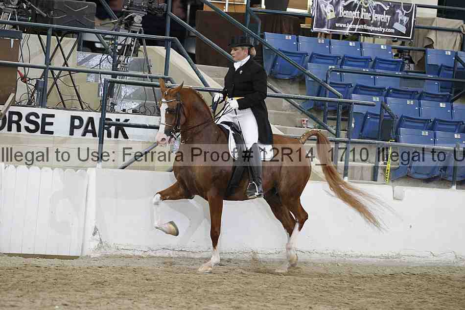 Proof Number 12r14_1710
