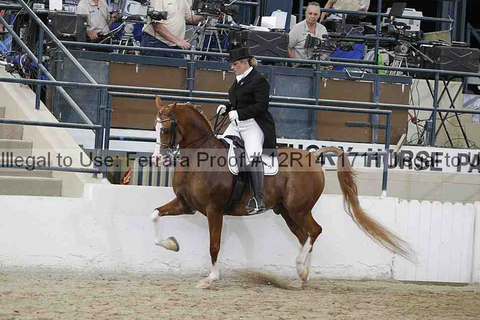 Proof Number 12r14_1711