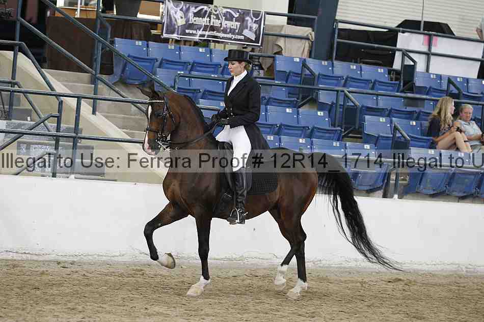 Proof Number 12r14_1714