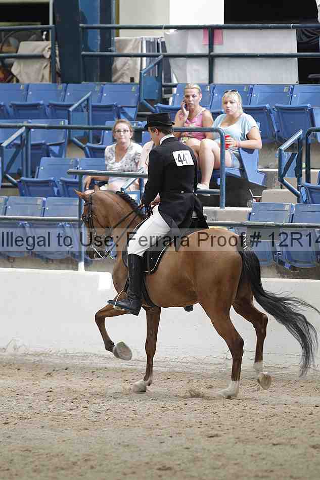 Proof Number 12r14_1723