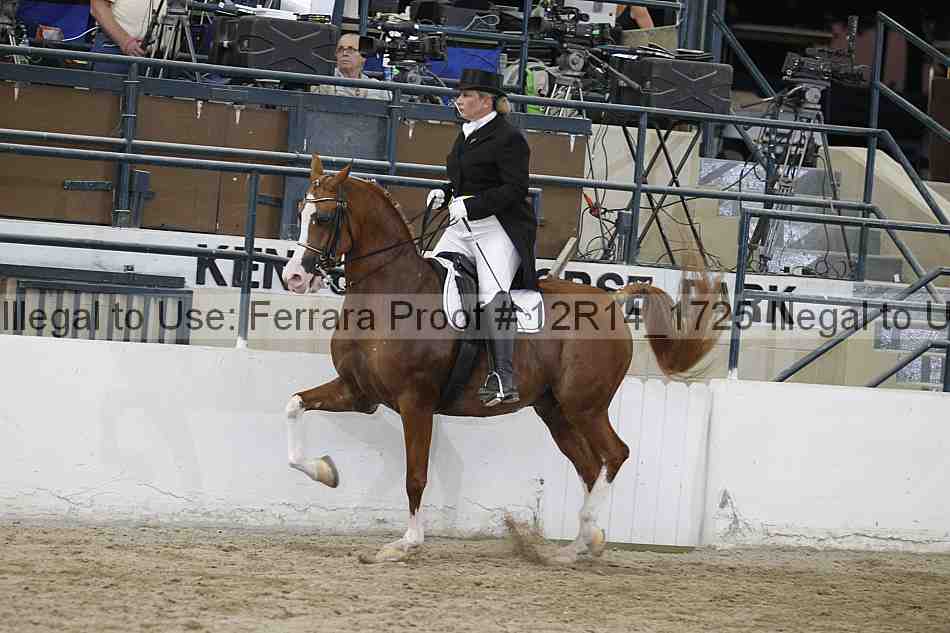 Proof Number 12r14_1725