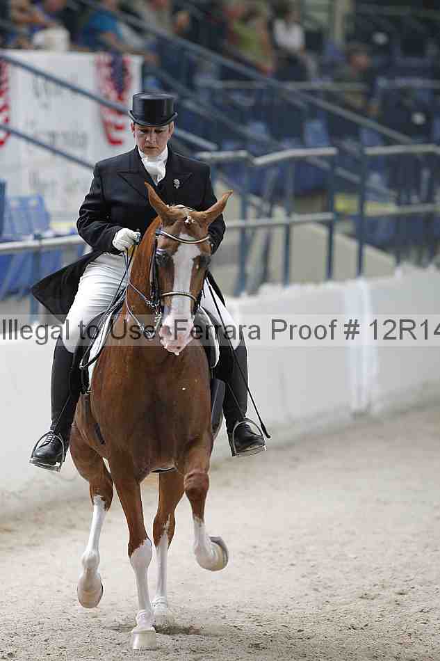 Proof Number 12r14_1728