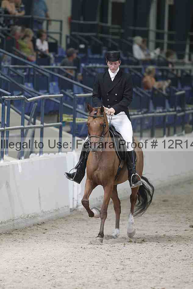 Proof Number 12r14_1731